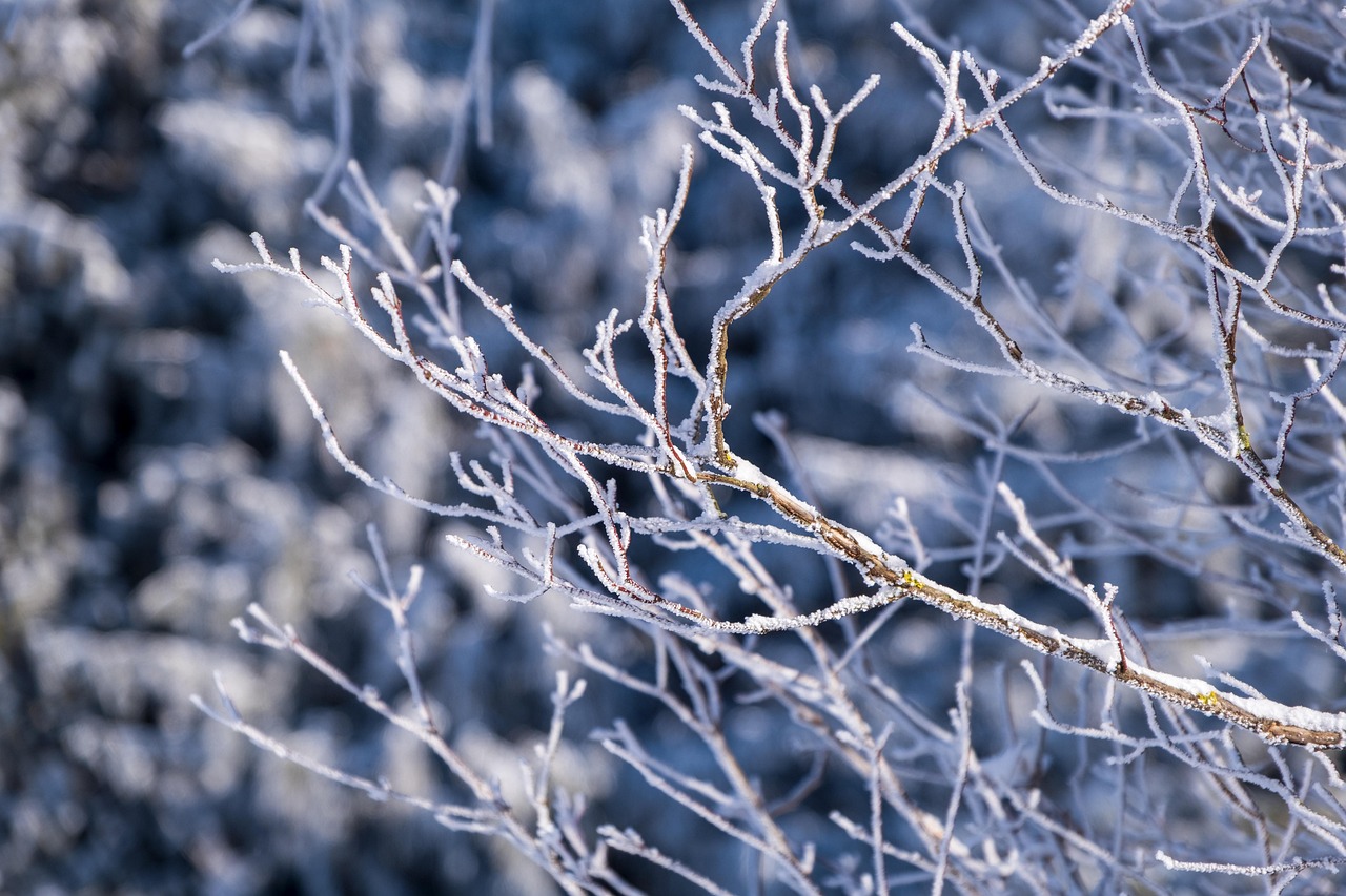 雪中キャンプに必要な装備は何ですか？