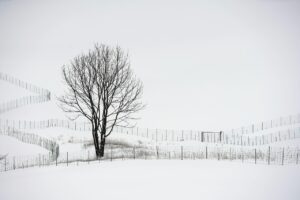 冬キャンプで役立つ防寒グッズの手作りアイデアは？