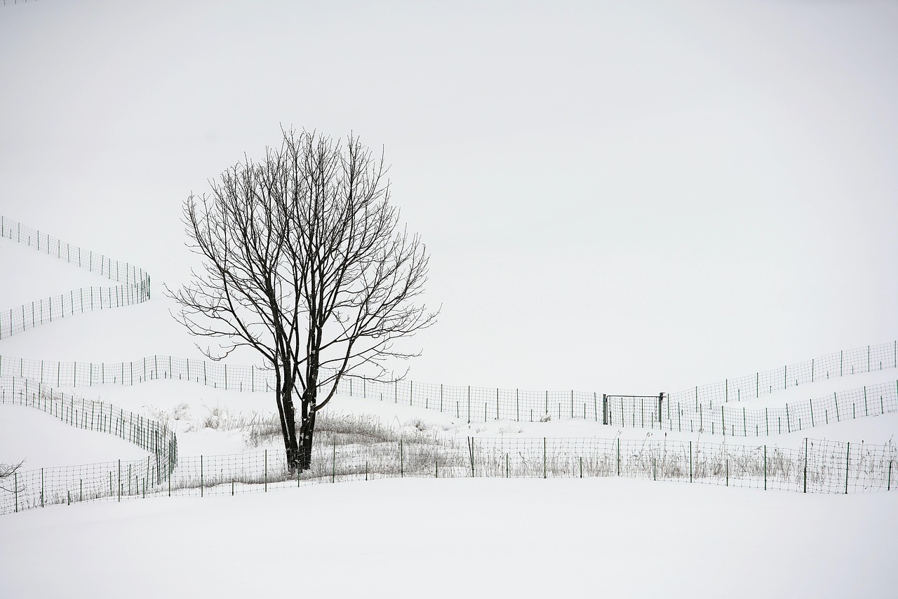 冬キャンプで役立つ防寒グッズの手作りアイデアは？