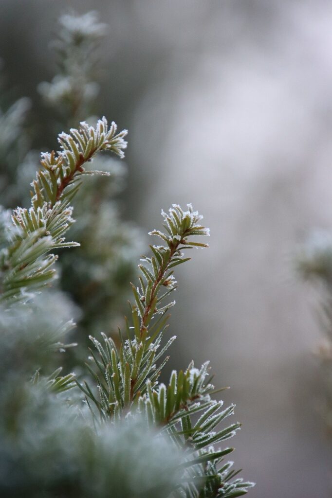 冬キャンプで必要な寒さ対策アイテム一覧は？