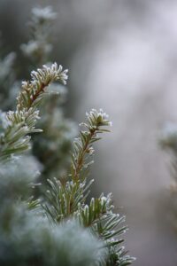 冬キャンプ初心者が知っておくべき寒さ対策の必需品は？