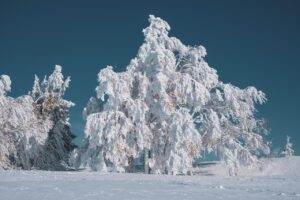 冬キャンプで寝袋の中に最適な服装は？