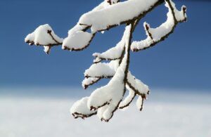 冬キャンプで寒波の日に必要な装備は？