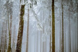 冬キャンプでの朝の撤収時に役立つ防寒方法は？